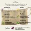 Compresa Térmica De Semillas Y Plantas Medicinales Pequeña