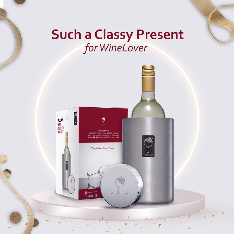 IPUJAN Wine Chiller Bucket with Stainless Ice Stone - Champagne
