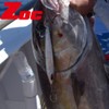 Major Craft ZOC Double Hook HD40#3/0 Fishing Hook