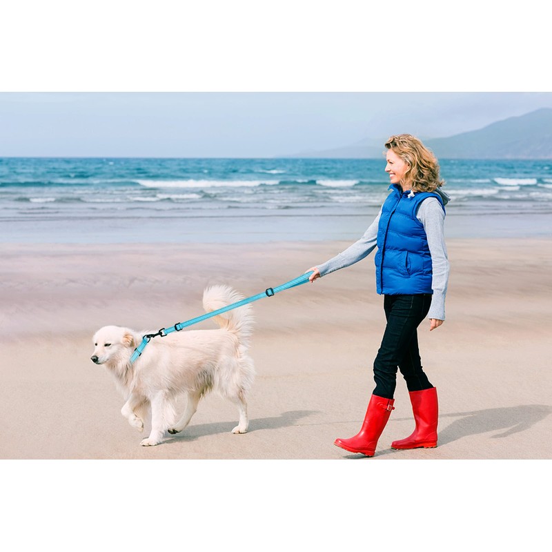 Martingale Dog Collar and Leash Set Martingale Collars for Dogs