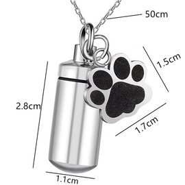Waterproof Cremation Pet Urns Keychain for Dogs Ashes, Stainless Steel Cube Ashes Necklace, Urn Memorial Pendant, Cat Dog Urn for Pet Ashes Cremation Keepsake Memorial Ashes Jewelry Loopunk (Silver)