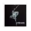 ESTEAM Shower Steamers – Ballet Design – 18 Shower Steamers