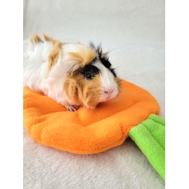 2 Pack Guinea Pig Bed Mat Washable Pee Pad, Fleece Bedding for Rodent, Reusable Cage Liner for Rabbit or Small Animal (Carrot & Rainbow)