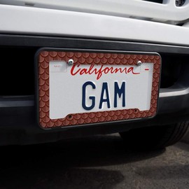 GRAPHICS & MORE Dragon Scales Pattern License Plate Tag Frame