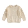 Geagodelia Baby Girls' Knitted Pullover Long Sleeve Crew Neck Flower