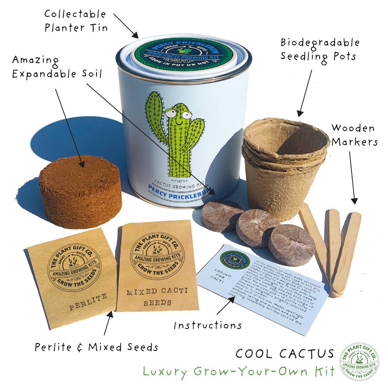 Cactus Luxury Grow Kit, The Plant Gift Co. Percy Pricklebum