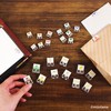 TOHKIN MZTSC-S7PO Mizutama Collaboration Design Slide Clips, Small, Pack of