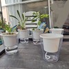 MAHIONG 5 Pack 7 Inch Self Watering Planters with White