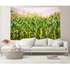 CHNYWORK 15x8ft Cornfield Backdrop Autumn Green Corn Field Corn Stalks