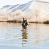 Phelps Game Calls Pd Single Pro Duck Call