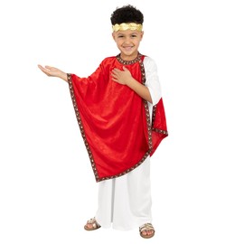 Fun Shack Roman Costume For Boys, Roman Emperor Toga Outfit For Kids, Historical Dress Up Costume For Children, X-Large