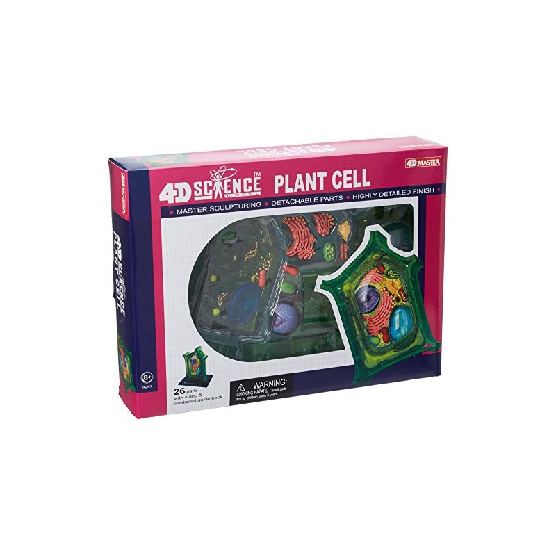 Famemaster 4D-Science Plant Cell Anatomy Model