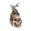 Nemesis Now Steel Wing Skull Figurine 25cm Silver