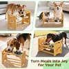 CozyLazy Elevated Dog Bowls, 4 Height Adjustable Raised Dog Bowl