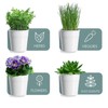 MoFarbe Herb Pots for Kitchen & Windowsill | Kitchen Herb