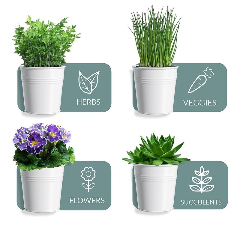 MoFarbe Herb Pots for Kitchen & Windowsill | Kitchen Herb