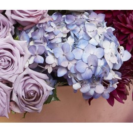 Design Master 762 Garden, Hyacinth