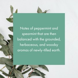 Monthly Fragrance Cartridge for ScentAir Whisper Home (Eucalyptus Mint)
