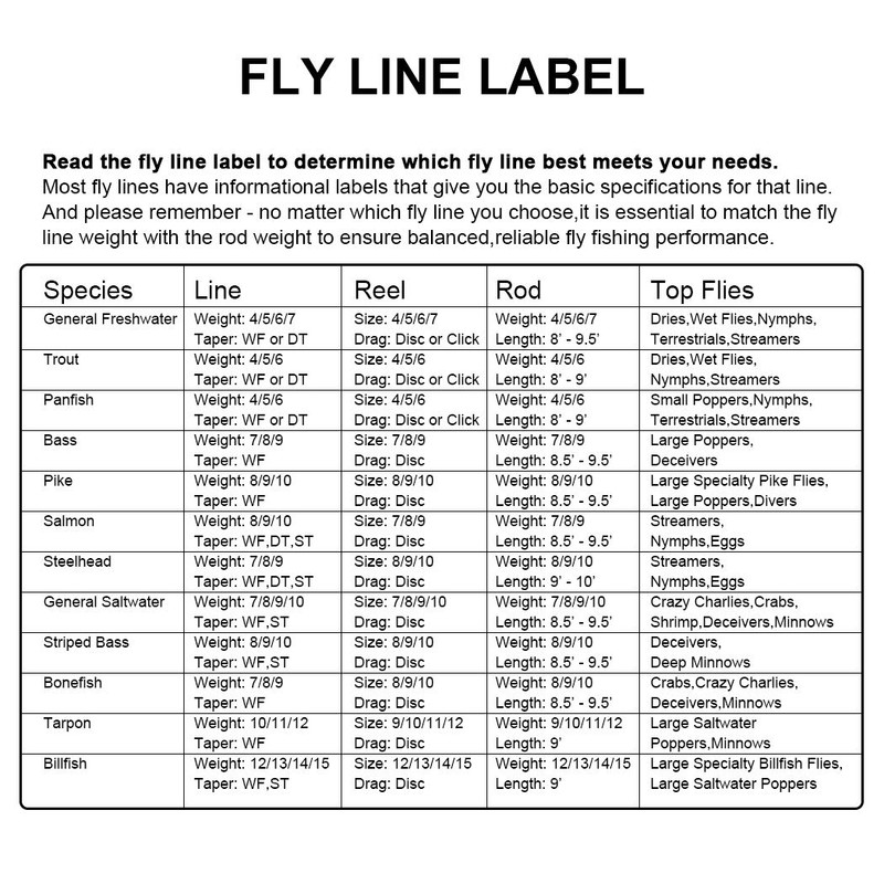 SF Full Sinking Fly Fishing Line Weight Forward Taper Fly