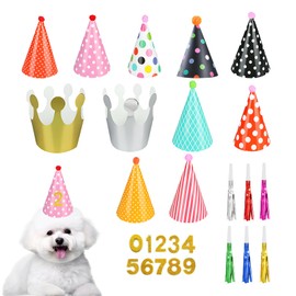 Pluvyze Dog Birthday, Dog Birthday, Dog Birthday, Birthday Dog, Party Decorations for Children, Adults, Pets