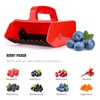 Domiella Blueberry Picker with Metallic Comb and Handle, Easier Berry