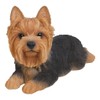 Hi-Line Gift Ltd Yorkshire Terrier Resin Dog Lying Down Statue