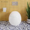 Plaisir Back to Wall Toilet White