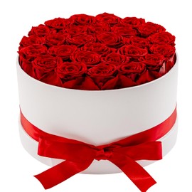 Otuo 27 Piece Preserved Roses in a Box - Forever Flowers for Delivery Prime, Eternal Roses Mothers Gifts for Mom, Wife Anniversary Birthday Gifts for Women, Red