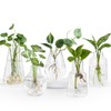 Mkono Propagation Vases for Plants, Set of 5 Small Glass