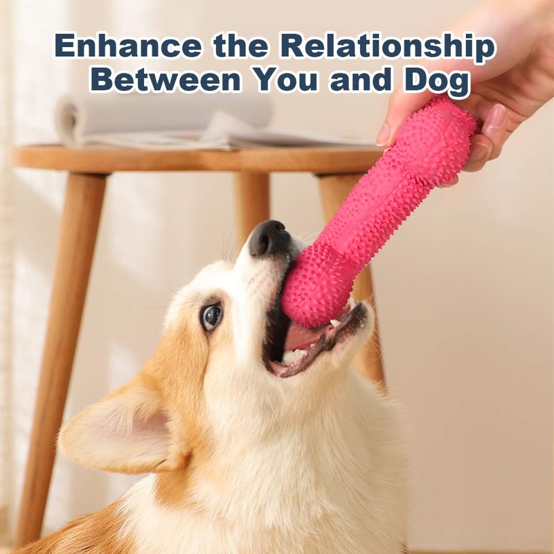 Petper Cw-0095EU Squeaky Latex Dog Toy, Interactive Toy Bone for