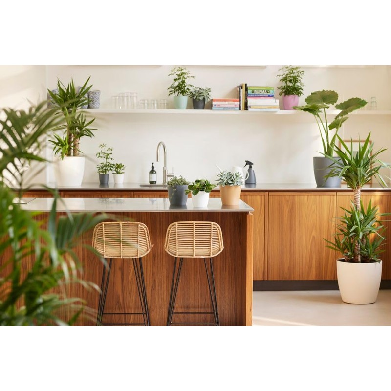 elho Brussels Round 16 - Flower Pot for Indoor -