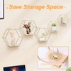 LMYDIDO Set of 5 Hexagon Wall Shelves, Hanging Shelves, Metal