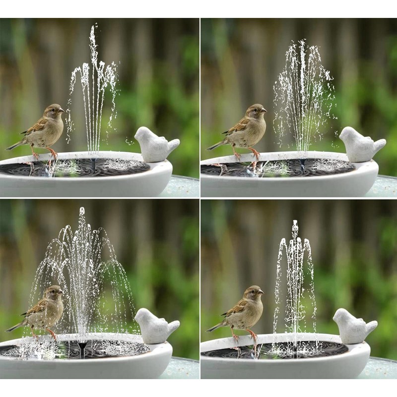 Lewisia Solar Bird Bath Fountain Pump USB Charging + Solar