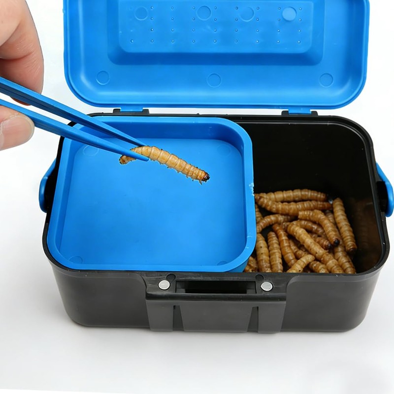 Small Size Mealworms Breeding Box Mealworms Feeding Kit to Breed