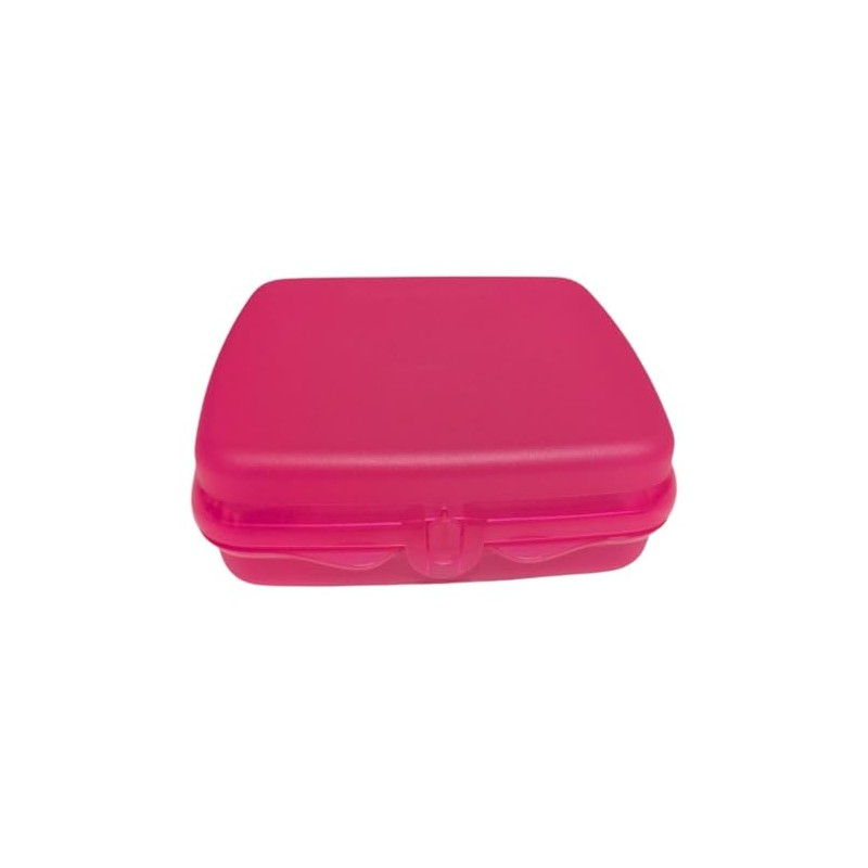 Tupperware Sandwich Box Storage Box Lunch Box Square with Hinge