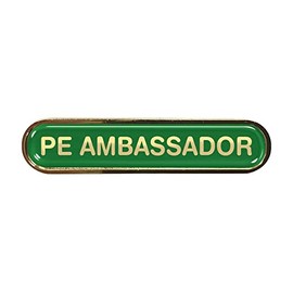 Capricornone PE AMbassador Gel Domed Green School Bar Badge