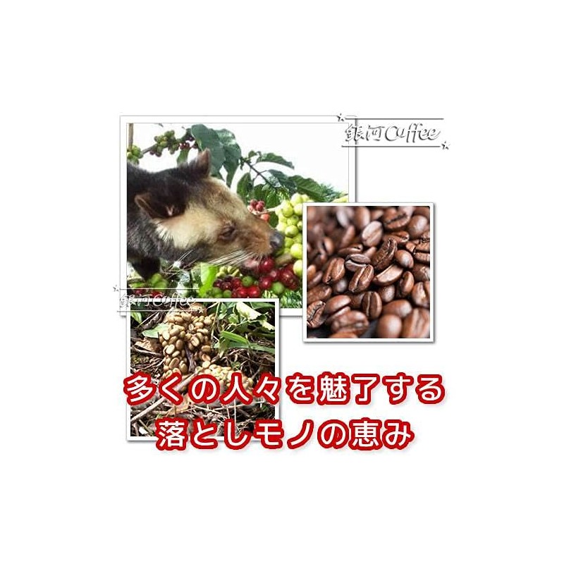 Coffee Beans, Freshly Roasted Kopi Luak, Natural Cave Cat, Galaxy