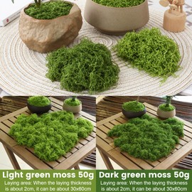 Muschio Finto per Decorazioni 100g, Muschio Stabilizzato Nylon, Artificiale Muschio Sintetico per Acquario Modellismo Terrario Casa Decori
