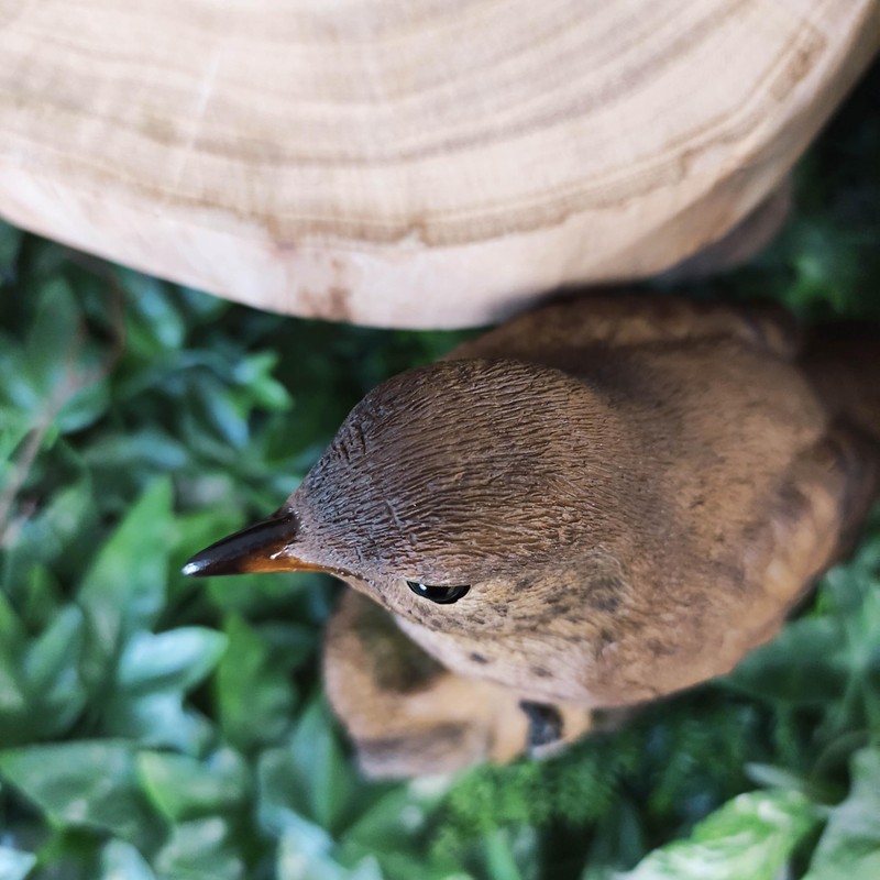 Vivid Arts Garden Birds (Song Thrush)