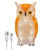 Gloworm YKL-1018, 22.5CM Acrylic Battery Box Owl with 24 Warm