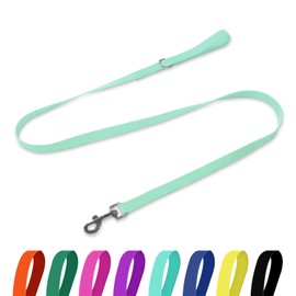 Kidding Pets Waterproof Dog Leash, 5/6 FT Durable Odor-Proof Dog Leashes with Strong Metal Hooks Fits Small Medium or Large Dogs (Mint Green, 5FT - 3/4 inch Width)