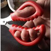 FRUTA 3 Pieces Seafood Scissors Lobster Scissors Multifunctional Stainless Steel