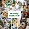 Doggie Dailies Doggie Dailies 5 in 1 Multivitamin for Dogs,