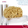 Schläfer 2817021 Soap Dish for All Shower Wall Rails with