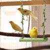 Bird Swing,Wooden Parrot Perch Stand,Swing Hanging Toys With 2PCS Metal