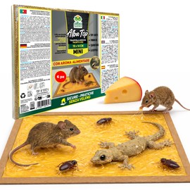 Albagarden - Trappola Adesiva MINI per Topi, Ratti, Scarafaggi, Formiche e Lucertole. Tavoletta con Colla Potente e Aroma Alimentare, Uso Interno ed Esterno x 2 Pz