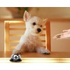 LUXE DIVA Reception Call Bell Stainless Steel Hand Held Desk