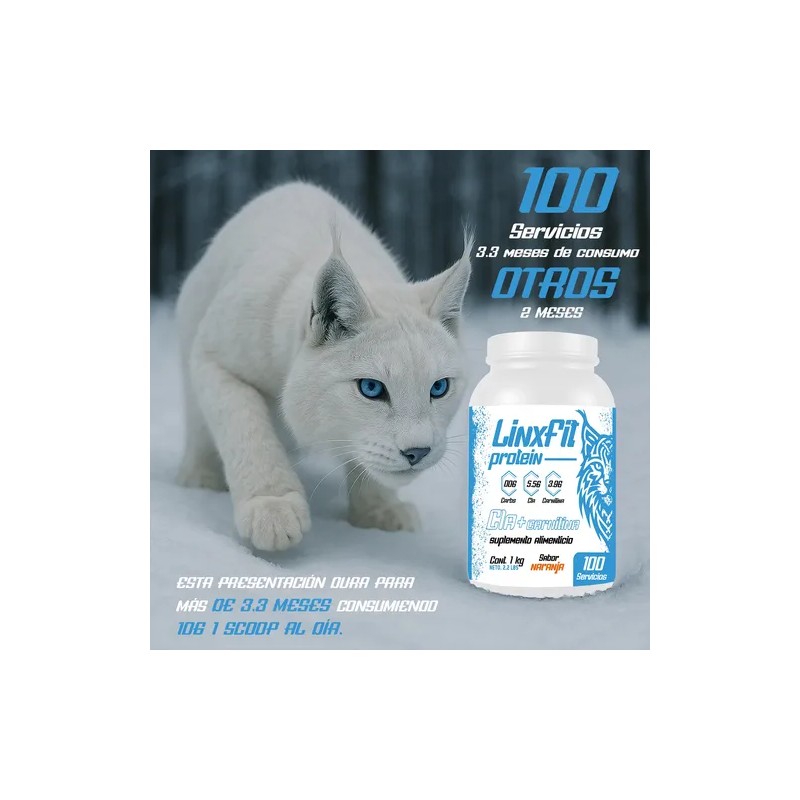 Cla Carnitina Linx Fit 1kg 100 Servicios Varios Sabores