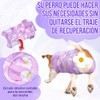 SlowTon Traje de Recuperación para Perros Macho Hembra, Camisa Recuperación