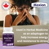 MAXION Maxion Stress Relief, 60 Capsules with Lion's Mane, Maitake,